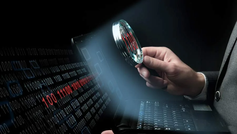 Web Investigation