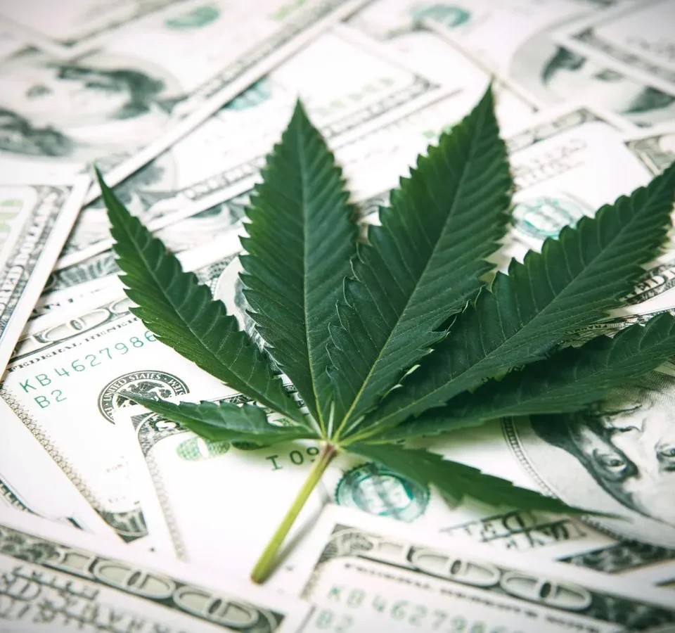 Pot of Gold: The Legal Marijuana Industry